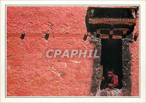 Cartes postales moderne Ladakh Young monk at Thisay monastery