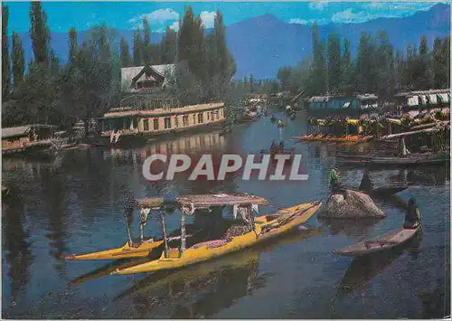 Cartes postales moderne Shikara in Dal Lake