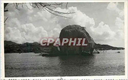 CARTE PHOTO Bord de mer