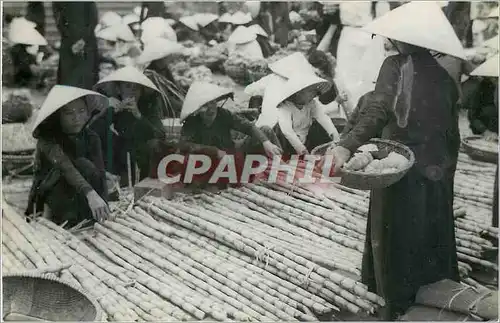 CARTE PHOTO Canne a sucre