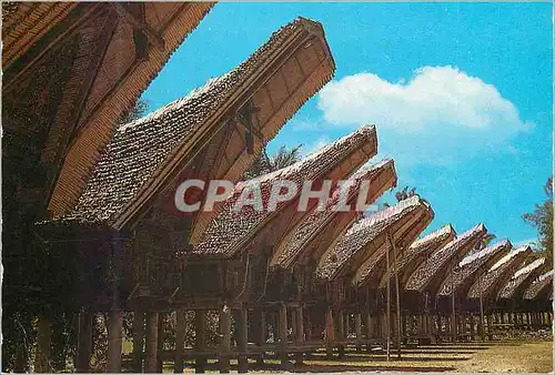 Cartes postales moderne Jejeran Lumbung padi di Nanggala Tana Toraja Sulawesi Selatan