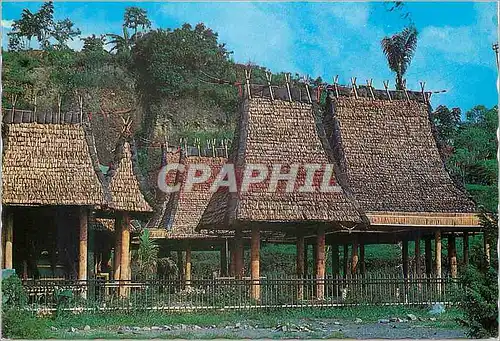 Cartes postales moderne North Sulawesi