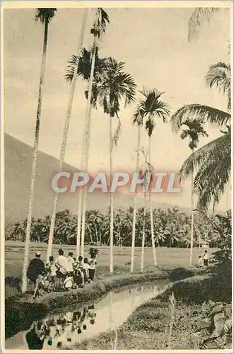 Cartes postales moderne Kolff Indonesia