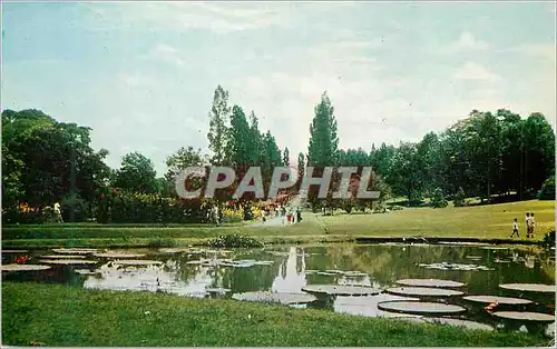 Cartes postales moderne Satu Pemandangan Dalam Kebun Raja Bogor  Timbre Tennis