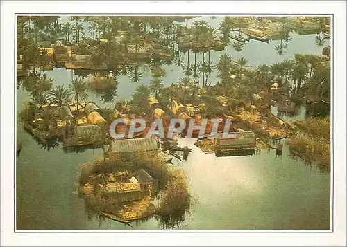 Cartes postales moderne Irak Les Maadans habitants des marais