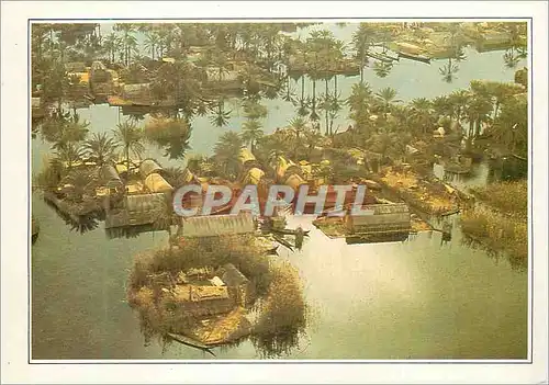 Cartes postales moderne Irak Les Maadans habitants des marais