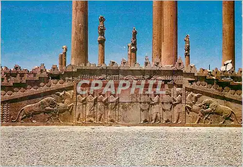 Cartes postales moderne Shiraz Perspolis