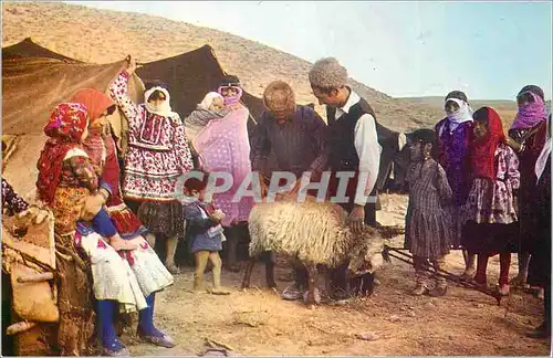 Moderne Karte Kord Tent dweller Iran Mouton Folklore