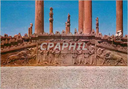 Cartes postales moderne Shiraz Perspolis