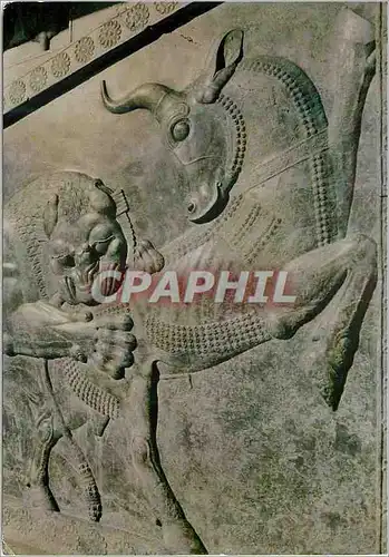 Cartes postales moderne Shiraz Perspolis