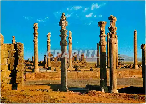 Cartes postales moderne Shiraz Persepolis