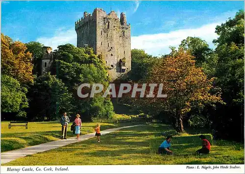 Moderne Karte Bilarney Castle Co Cork Ireland
