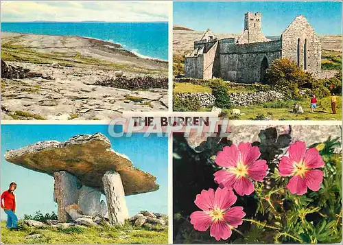 Cartes postales moderne The Burren Great rock