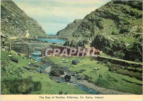 Cartes postales moderne The Gap of Dunloe Killarney Co Kerry Ireland