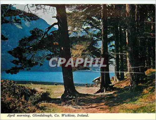 Cartes postales moderne April morning Glendalough Co Wicklow Ireland