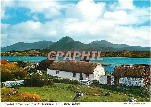 Cartes postales moderne Thatched Cottage near Renvyle Connemara Co Galway Ireland Ane Donkey