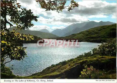 Cartes postales moderne Evening on the Lakes of Killarney Co Kerry Ireland