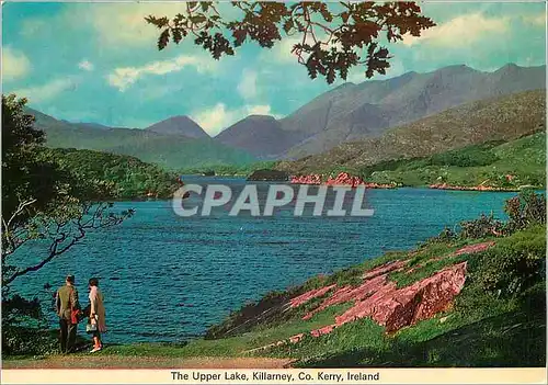 Cartes postales moderne The Upper Lake Killarney Co Kerry Ireland