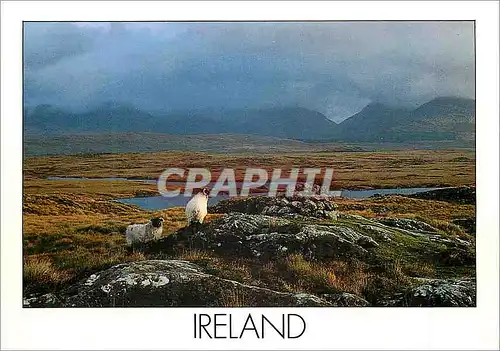 Cartes postales moderne Ireland Le rude paysage de la cote de l ouest de l Irlande