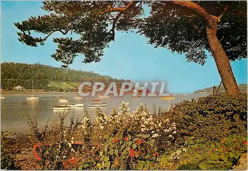 Cartes postales moderne Crosshaven Co Cork Ireland Crosshaven is rapidly gaining popularity as a seaside resort