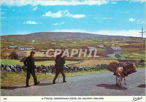Moderne Karte A typical Connemara Scene Co Galway Ireland Ane Donkey