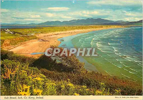 Cartes postales moderne Inch Strand Inch Co Kerry Ireland