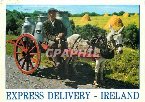 Cartes postales moderne Express delivery Ireland Ane Donkey