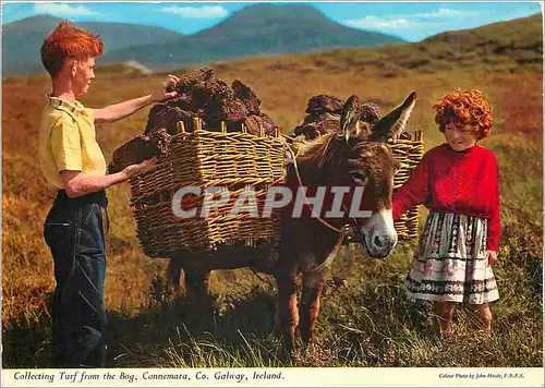 Cartes postales moderne Collecting turf from the Bog Connemara Co Galway Ireland Ane Donkey