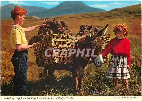 Moderne Karte Collecting turf from the Bog Connemara Co Galway Ireland Ane Donkey