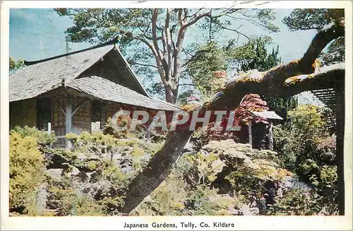 Cartes postales moderne Japanese Gardens Tully Co Kildare
