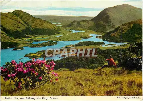 Cartes postales moderne Ladies View near Killarney Co Kerry Ireland