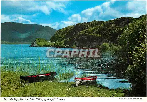 Cartes postales moderne Waterlily Bay Currane Lake Ring of Kerry Ireland