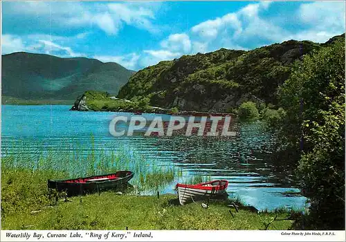 Moderne Karte Waterlily Bay Currane Lake Ring of Kerry Ireland