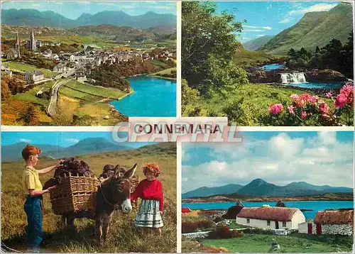 Cartes postales moderne Connemara Co Galway