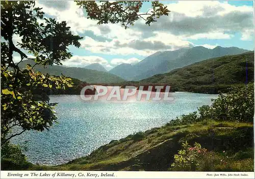 Cartes postales moderne Evening on The Lakes of Killarney Co Kerry Ireland