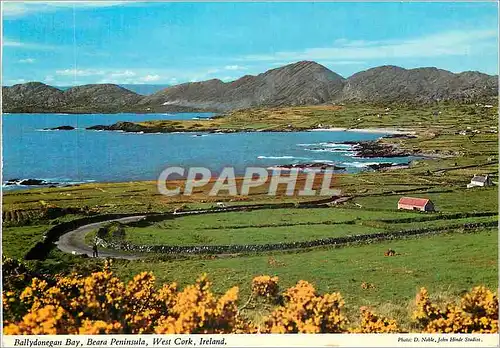 Cartes postales moderne Ballydonegan Bay Beara Peninsula West Cork Ireland