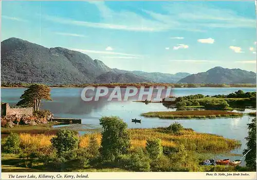Cartes postales moderne The Lower Lake Killarney Co Kerry Ireland