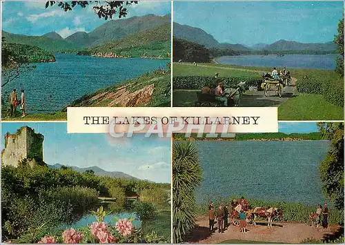 Cartes postales moderne The lakes of Killarney The three main lakes lie along a broad valley