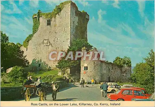 Moderne Karte Ross Castle on the Lower Lake Killarney Co Kerry Ireland