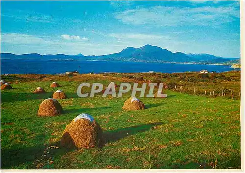 Cartes postales moderne Haycocks Ireland