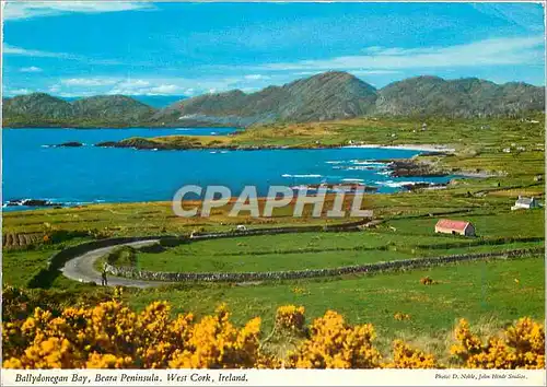 Moderne Karte Ballydonegan Bay Beara Peninsula West Cork Ireland