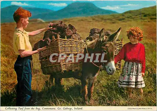 Cartes postales moderne Collecting Turf from the Bog Connemara Co Galway Ireland Ane Donkey