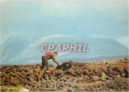 Cartes postales moderne Stacking turf in Donegal