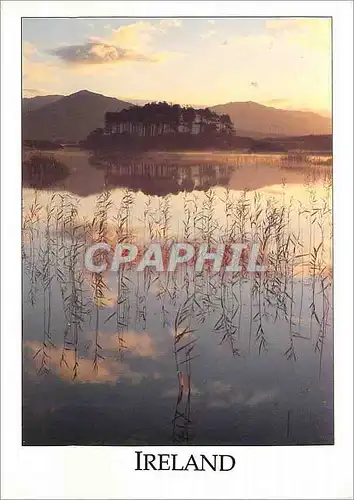 Moderne Karte Ireland Early morning on Derryclare Lough Connemara Ireland