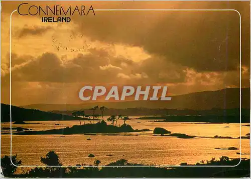 Cartes postales moderne Connemara Co Galway