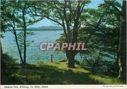 Moderne Karte Muckross Park Killarney Co Kerry Island