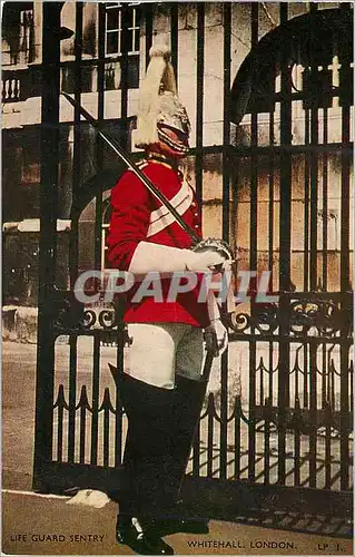 Moderne Karte Life Guard Sentry Whitehall London  Militaria