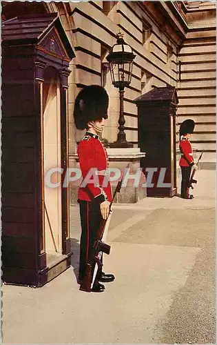 Moderne Karte Irish guards on Sentry Duty at Buckingham Palace London  Militaria