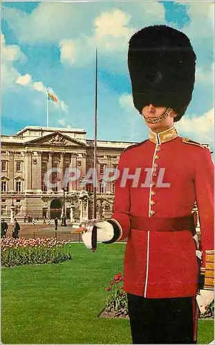 Moderne Karte An Ensign Grenadier Guards Militaria