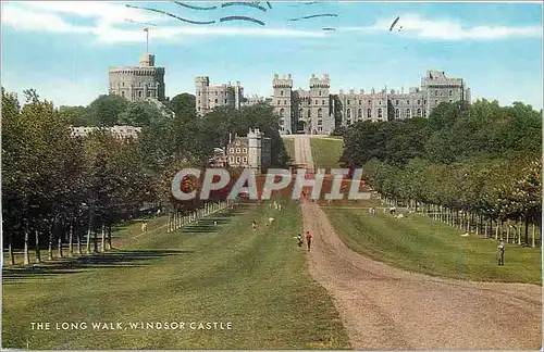 Cartes postales moderne The Long Walk Windsor Castle